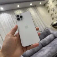 iphone 12 pro max silver