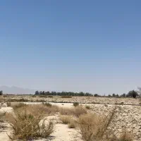 فروش ۱۹هکتار زمین کشاورزی سند دار|فروش دفتر صنعتی، کشاورزی، تجاری|لار, |دیوار