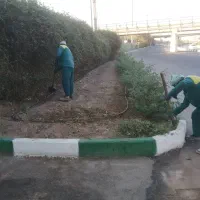 جذب نیروی ساده (کار در فضای سبز)