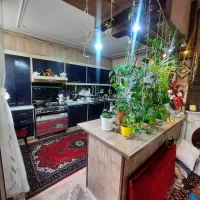 85 متر ابوطالب 59