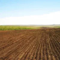 اجاره-130-هکتار-زمین-کشت-زمستانه-منطقه-چنانه-شوش