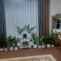 اپارتمان فروشی مهرشهر|فروش آپارتمان|سراوان, |دیوار