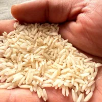 برنج جمشید جو درجه یک