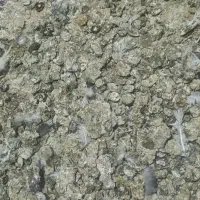 کود کبوتری|گل و گیاه طبیعی|ابهر, |دیوار