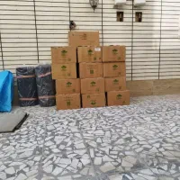 کارتن جهت اسباب کشی