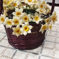 سبد گل نرگس