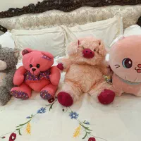 عروسک های بزرگ پولیشی