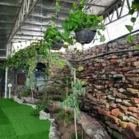 استخدام پرسنل کافه رستوران سالیز لانژ