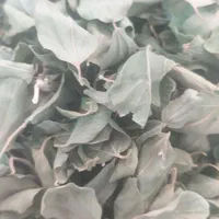 خریدار برگ سدر (کنار)