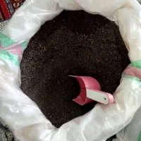 چای خشک بهاره ممتاز2کیلویی لاهیجان