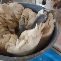 خمیر گیر ۲۵۰ کیلویی