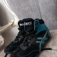 کتونی کشتی|کیف، کفش، کمربند|اراک, |دیوار