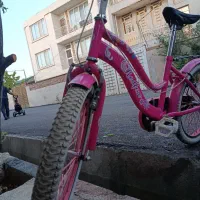 دوچرخه 20