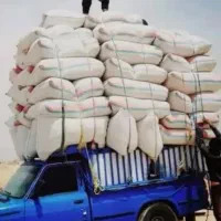 فروش محصولات گندم پخل پرس و....