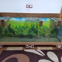 آکواریوم ،40*70*200سانتی متری،800لیتری