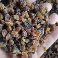 فروش ویژه کشمش شب چله هسته دار وبیدونه|خوردنی و آشامیدنی|تاکستان, |دیوار