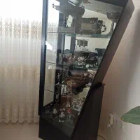 ویترین در حد نو