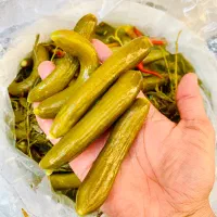 خیارشور سطلی 8 کیلو خالص|عمده‌فروشی|اهواز, شریعتی جنوبی|دیوار