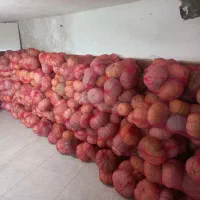 کدو زرد و شیرین|خوردنی و آشامیدنی|نوکنده, |دیوار