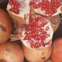 انار آب دار|خوردنی و آشامیدنی|قم, دورشهر|دیوار