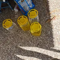 دبه پلاستیکی ۲۰ و ۱۰ لیتری در حد نو|ظروف نگهدارنده، پلاستیکی، یکبارمصرف|مبارکه, |دیوار