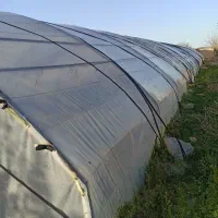 گلخانه