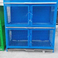 فروش کبوتر دوکتی سرخ|پرنده|خمینی‌شهر, |دیوار