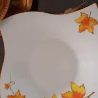 ظرف تزئینی|سرویس روتختی|تهران, وصفنارد|دیوار