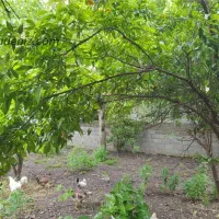 فروش-زمین-در-اقدسیه-کردان-چهارباغ-افشاریه