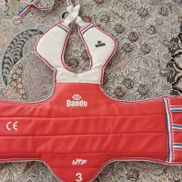 هوگو تکواندو