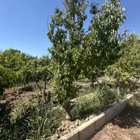 ۳۰۰۰متر زمین داخل بافت تهراندشت سرخاب|فروش زمین و ملک کلنگی|کرج, فاز ۱ مهرشهر|دیوار