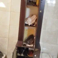 جاکفشی آیینه قدی|جاکفشی، کمد، دراور|ری, اقدسیه|دیوار