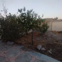 خانه باغ در قزوین نزدیک کوهین|فروش خانه و ویلا|تاکستان, |دیوار