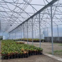 مشاوره و ساخت گلخانه های صنعتی|خدمات پیشه و مهارت|اراک, |دیوار