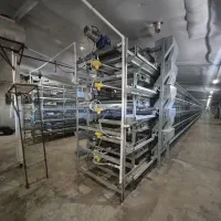 فروش خط تمام مکانیزه قفس پرورش بلدرچین