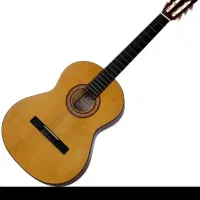 گیتار پارسی مدل M2