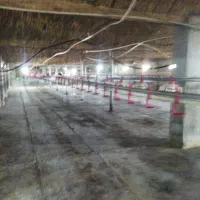 نیازمند کارگر مرغداری گوشتی 7000|استخدام صنعتی، فنی، مهندسی|سبزوار, قصبه غربی|دیوار