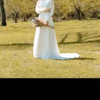 پیراهن‌مجلسی‌وفرمالیته