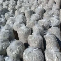 تفاله چغندر