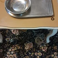 سینی زیر سماور