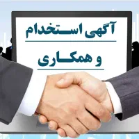 نیروی فست فود*آشپزخانه و صندوقداری*