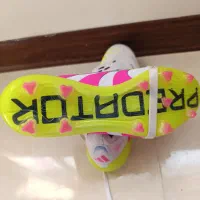 استوک آدیداس پردیتور چند رنگ|کیف، کفش، کمربند|کیش, |دیوار