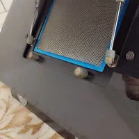 هود|هود|شوش, |دیوار