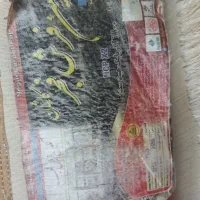 فرش ۶ متری|فرش|خرمآباد, |دیوار