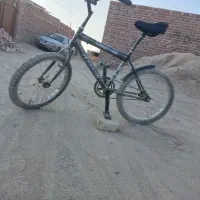 دوچرخه ۲۰|دوچرخه، اسکیت، اسکوتر|خاش, |دیوار