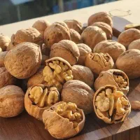 گردو کاملا خشک وپرچرب تویسرکان|خوردنی و آشامیدنی|تهران, امام حسین|دیوار