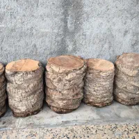 تنه نخل|صنایع دستی و سایر لوازم تزئینی|خورموج, |دیوار