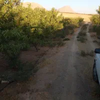 لوله کشی گاز