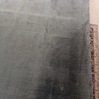 موکت تمیز و رنگ طوسی