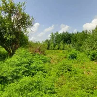 190متر-مسکونی-لشت-نشا